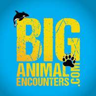 big animal encounters